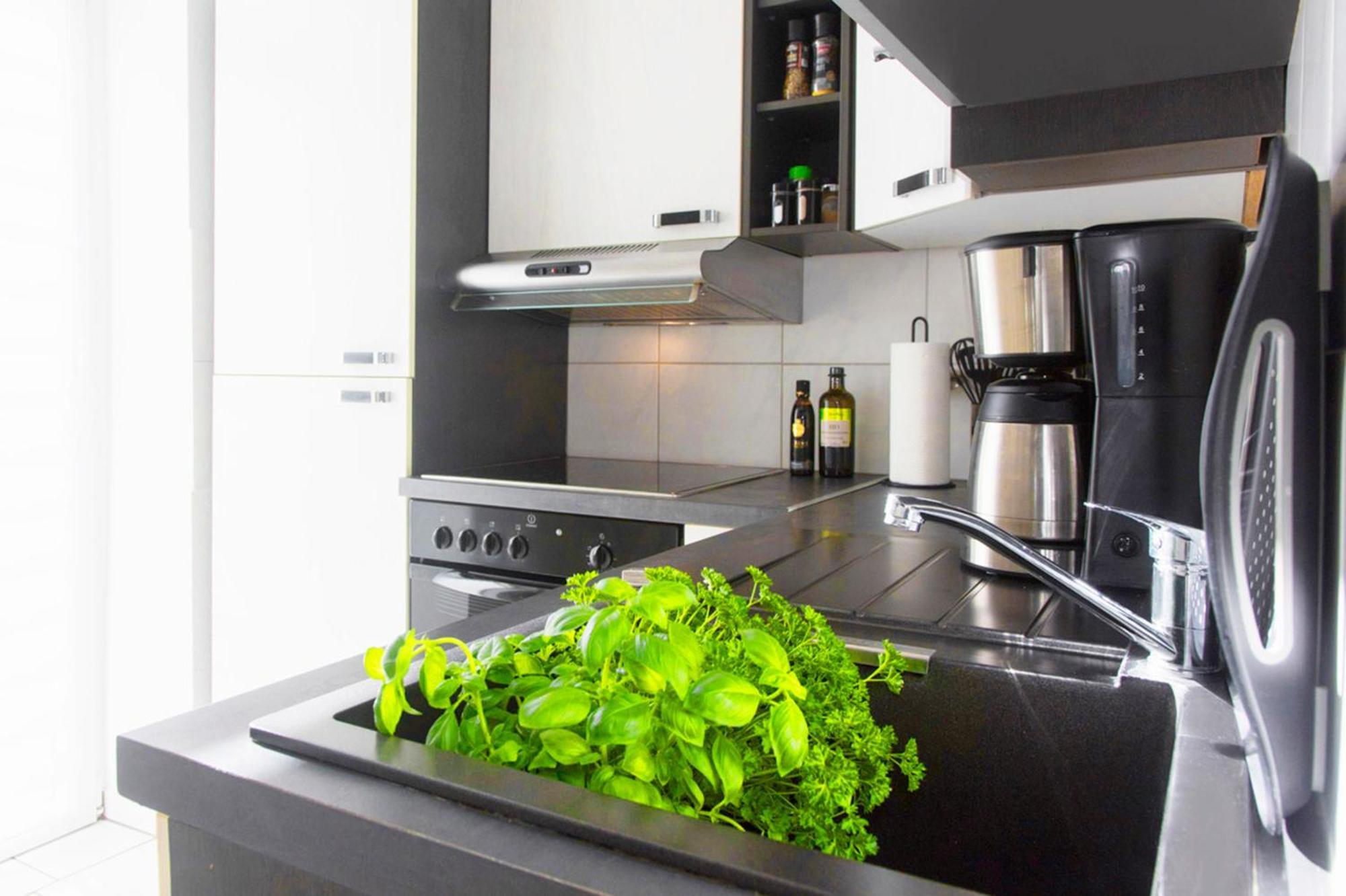 Bauhaus Design-Luxus Apartment, 20Er Jahre Stil, Garten Gera Bagian luar foto